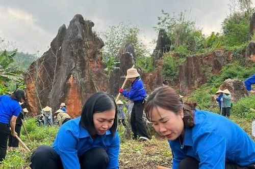 Ngày Chủ nhật xanh ở Cao Bằng