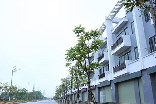 Nhiều địa phương ở Hà Tĩnh bị yêu cầu rà soát các dự án trồng cây xanh