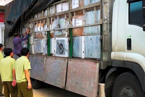 Vận chuyển đường nhập lậu, một tài xế bị phạt gần 500 triệu đồng