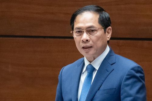 Bộ trưởng Ngoại giao: Vụ 'chuyến bay giải cứu' là sự kiện rất đau xót