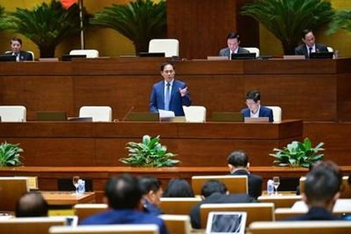 Bộ trưởng Bùi Thanh Sơn: Vụ án 'Chuyến bay giải cứu' là một sự kiện rất đau xót đối với ngành Ngoại giao