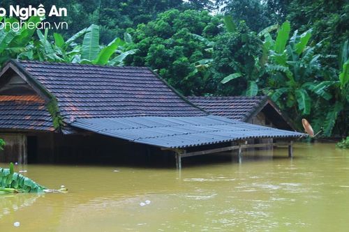 Năm 2023, Nghệ An thiệt hại gần 700 tỷ đồng do thiên tai