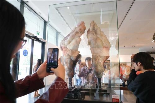 Ba chương trình đào tạo thiết kế mỹ thuật của Đại học Kiến trúc Hà Nội đạt chuẩn chất lượng giáo dục
