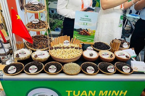 Xuất khẩu hồ tiêu, cây gia vị: Nâng chất lượng, hướng đến phân khúc thị trường cao cấp