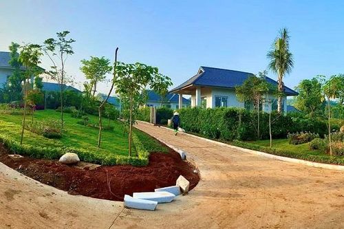 Giải mã câu chuyện