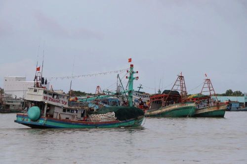 Các tỉnh, thành phố ven biển chủ động ứng phó với gió Đông Bắc mạnh