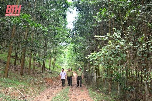 Khát vọng nơi rừng xanh