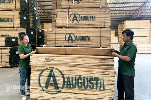 Doanh nghiệp lạc quan nhưng vẫn thận trọng