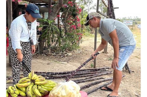 'Xóm mía' bên quốc lộ 25