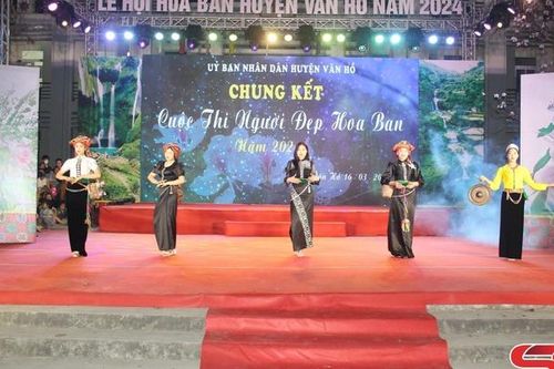 Nét đẹp Lễ hội Hoa ban huyện Vân Hồ 2024