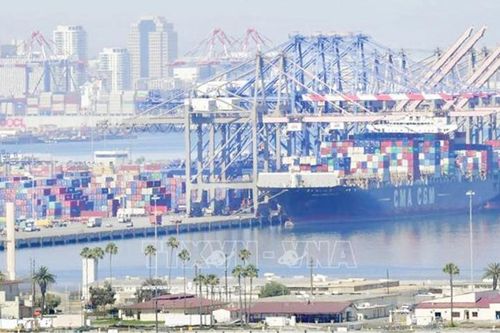 Giám đốc điều hành Hapag-Lloyd: Triển vọng của nền kinh tế toàn cầu đã thay đổi