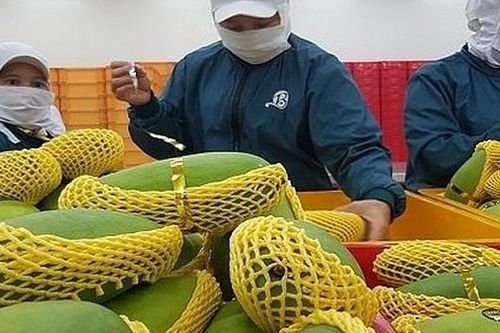 Rau quả Việt xuất khẩu nhiều nhất sang Thái Lan trong khu vực ASEAN