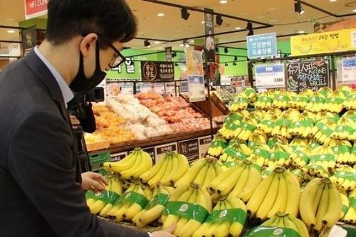 Hợp tác nông nghiệp giữa Việt Nam và Hàn Quốc còn nhiều dư địa để phát triển