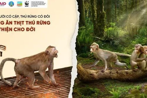Phát động chiến dịch truyền thông ngừng ăn thịt động vật hoang dã