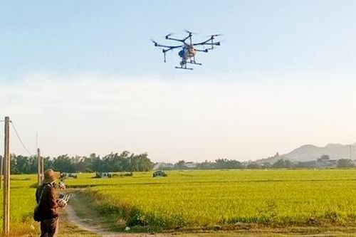 Nông dân, HTX thời 4.0 ở Bình Định giàu lên nhờ làm nông thông minh bằng drone, smartphone