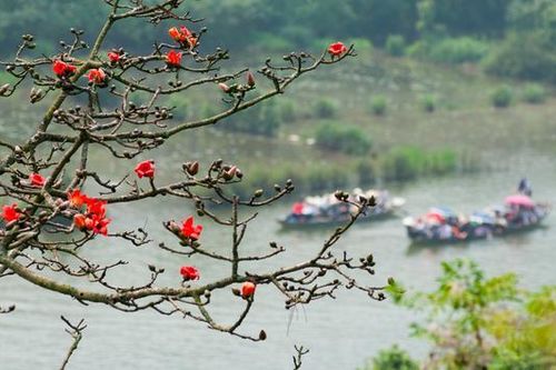 Chùa Hương hoa gạo soi dòng suối Yến