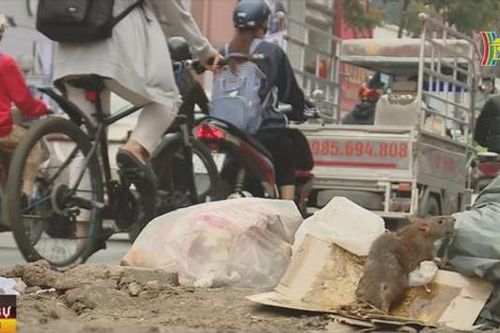 Phế thải bừa bãi tại nút giao Chùa Bộc - Thái Hà