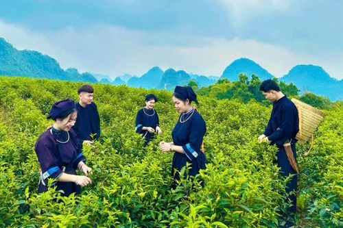 Phát huy giá trị văn hóa truyền thống phục vụ phát triển bền vững kinh tế - xã hội