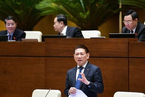 Chưa thể triển khai các loại hình đặt cược bóng đá, đua ngựa