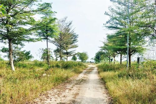 Quảng Ngãi: Dự án hàng trăm tỷ đồng bị bỏ hoang