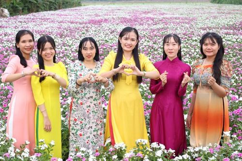 Bất ngờ trước vẻ đẹp của vườn hoa dừa cạn ở Cần Thơ