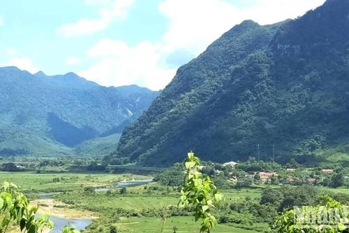 Quảng Bình chuyển mục đích sử dụng hơn 10 ha rừng để làm đường lên xã Trường Sơn