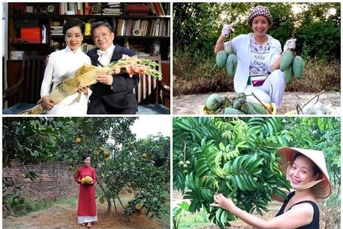 Khu vườn trái cây rộng bạt ngàn của NSƯT Chiều Xuân