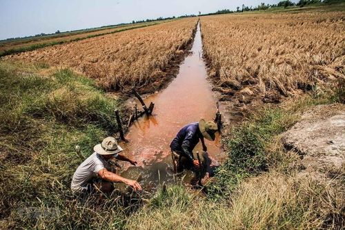 Việt Nam – Hà Lan hợp tác để thích ứng với biến đổi khí hậu
