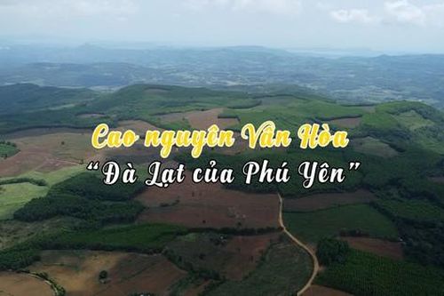 Khám phá Cao nguyên Vân Hòa - 'Đà Lạt của Phú Yên'