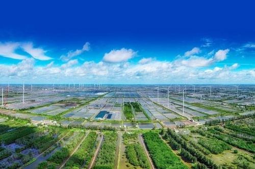 Thúc đẩy doanh nghiệp FDI trong chiến lược tăng trưởng xanh