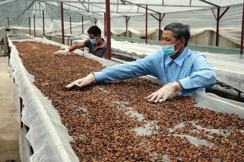 Tin tức kinh tế ngày 19/3: Nông sản đón nhận nhiều đơn hàng xuất khẩu