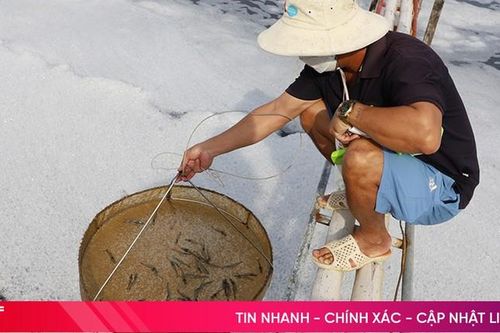 Dư nợ nông - lâm - thủy sản đạt trên 12 nghìn tỷ đồng