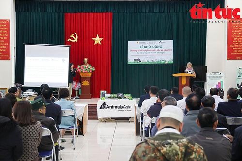 Khởi động Chương trình Bảo vệ loài gấu 2024