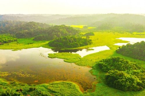 Khám phá thiên nhiên hoang dã ở Vườn quốc gia Cát Tiên