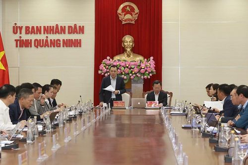 Gỡ vướng đầu tư các dự án lưới điện trên địa bàn Quảng Ninh