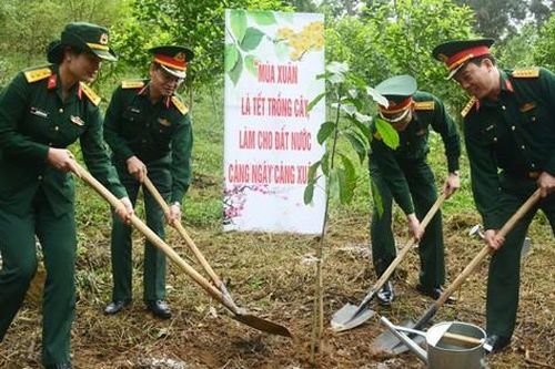 Bộ Tư lệnh Bảo vệ Lăng Chủ tịch Hồ Chí Minh tổ chức Tết trồng cây 'Đời đời nhớ ơn Bác Hồ'