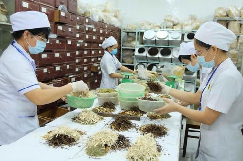Nhiều thủ tục hành chính trong lĩnh vực y, dược cổ truyền bị bãi bỏ