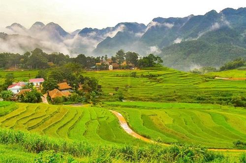 Chương trình Mục tiêu quốc gia phát triển kinh tế - xã hội vùng đồng bào DTTS&MN: Bá Thước phát huy tiềm năng, thế mạnh để xây dựng các sản phẩm đặc sản địa phương