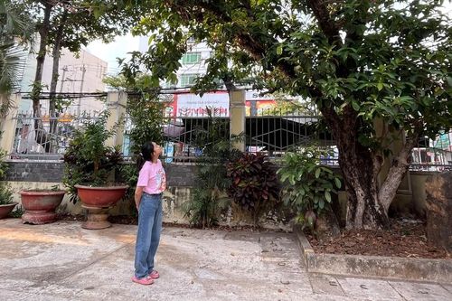 Góc vườn cơ quan năm ấy