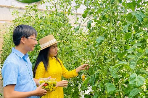 Liên kết '4 nhà' trong ứng dụng khoa học và công nghệ