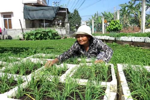 Diên Khánh: Thiết thực mô hình vườn rau gia đình