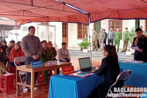 Lĩnh án tù vì tội hủy hoại rừng