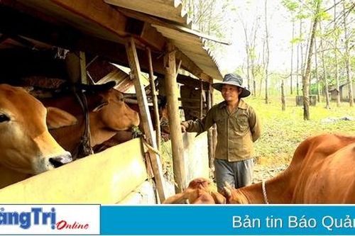 Nông dân làm giàu từ trang trại tổng hợp