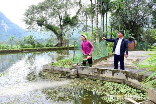 Lâm Bình khơi dậy sức Dân