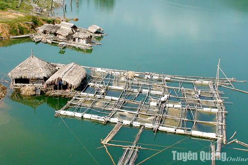Xóm chài trên hồ thủy điện