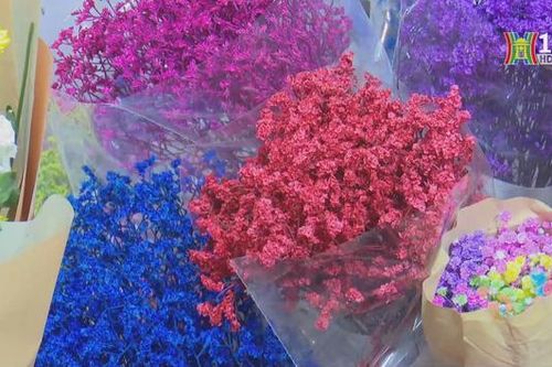 Chợ hoa Quảng Bá sẽ thành điểm du lịch đêm