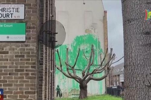 Chiêm ngưỡng tác phẩm tán cây xanh của nghệ sĩ Banksy