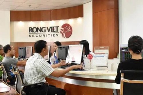 Chứng khoán Rồng Việt đặt kế hoạch lợi nhuận giảm 13% trong năm 2024
