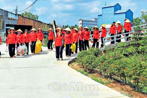 Cách hay bảo vệ môi trường