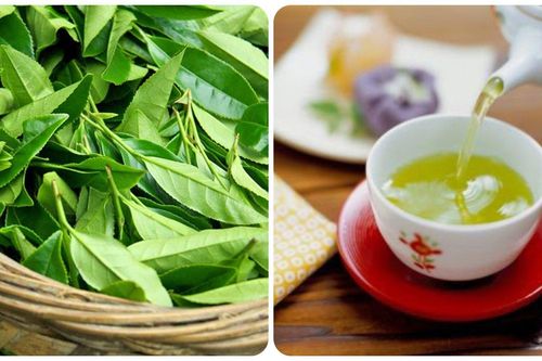 Uống nước chè tươi có tác dụng gì với sức khỏe?